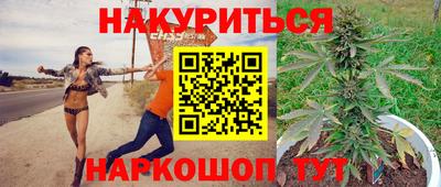 шишки Кингисепп