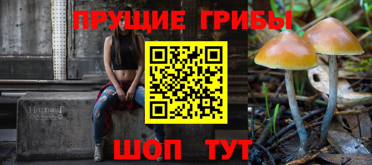 Ковров  Псилоцибиновые грибы прущие грибы  Вход с VPN  Псилоцибиновые грибы GOLDEN TEACHER 